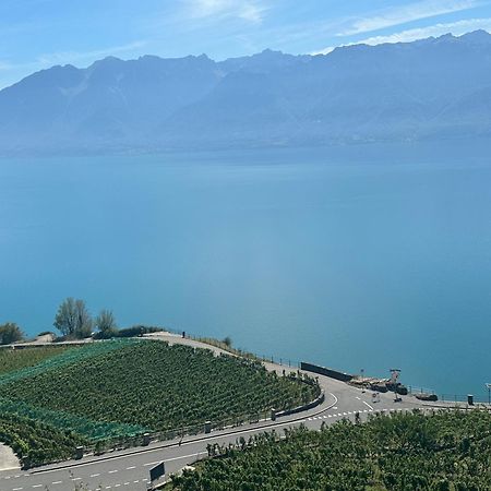 Room With 360° View Overlooking Lake Geneva And Alps Puidoux Buitenkant foto