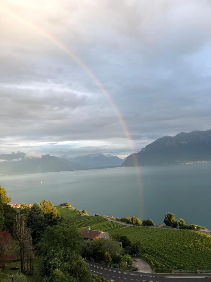 Room With 360° View Overlooking Lake Geneva And Alps Puidoux Buitenkant foto