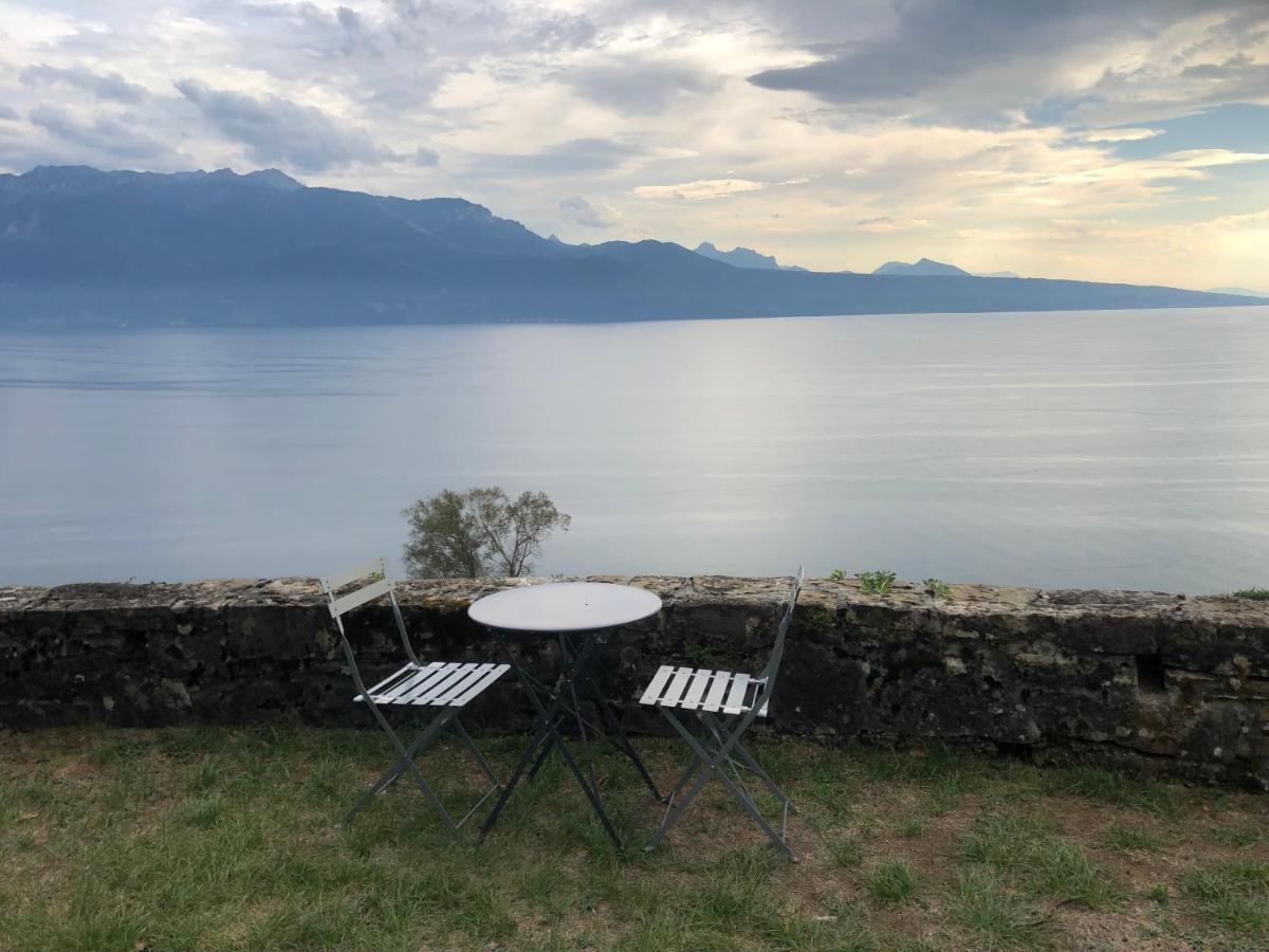 Room With 360° View Overlooking Lake Geneva And Alps Puidoux Buitenkant foto