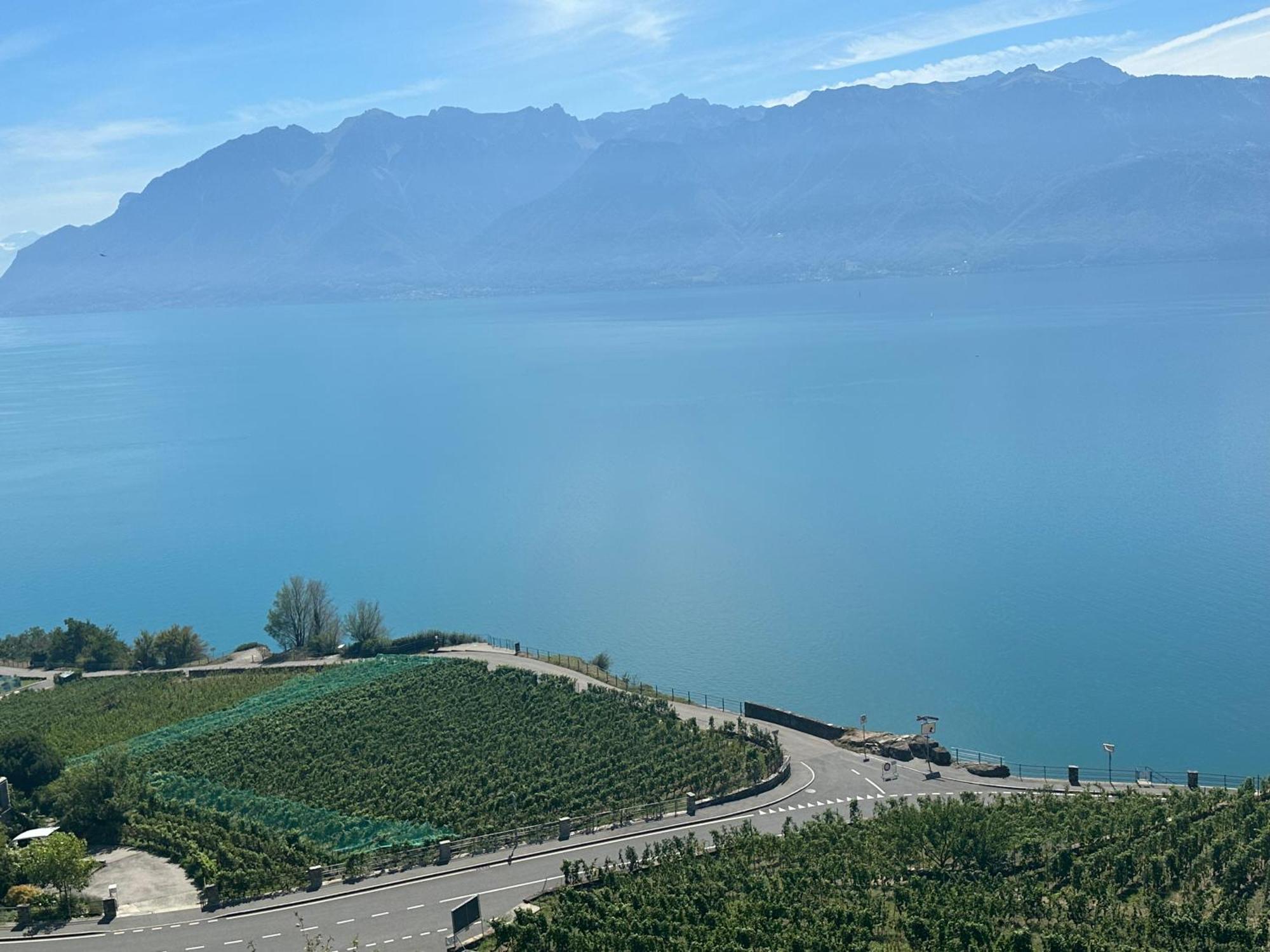 Room With 360° View Overlooking Lake Geneva And Alps Puidoux Buitenkant foto